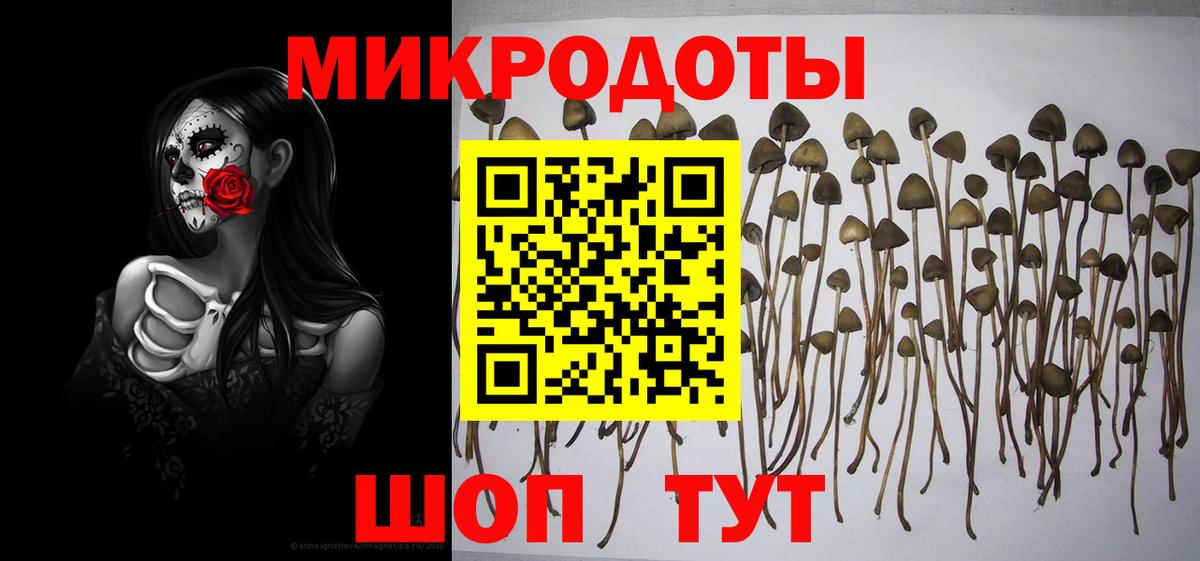 Псилоцибиновые грибы MAGIC MUSHROOMS  Вход с VPN  Галлюциногенные грибы Magic Shrooms  Михайловка 